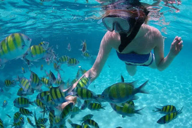 A snorkeler among tropical fish in the clear water off St. Thomas