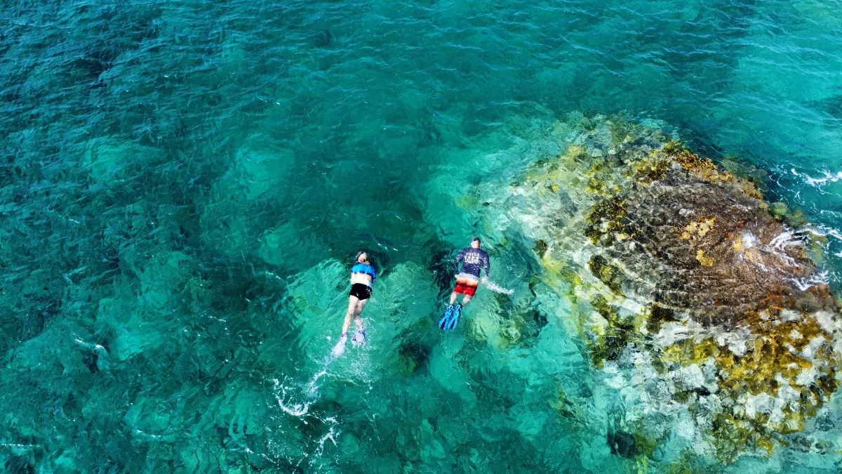 Aqua Marine — Two-Reef Snorkel by Dive Boat